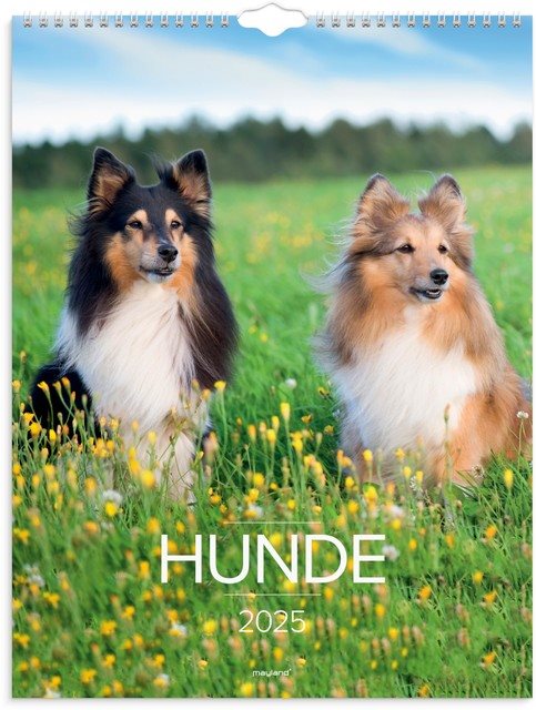 Mayland | Vægkalender 2025 | Hunde | 