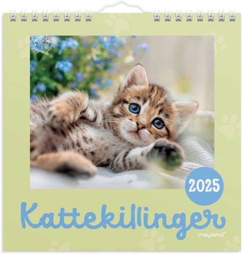 Mayland | Vægkalender 2025 | mini kattekillinger |