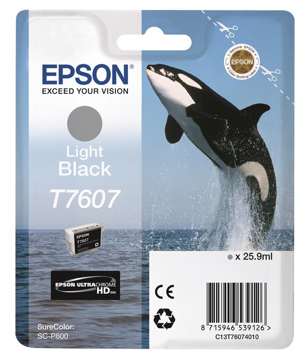 T76074010 Light Black Ink Cartridge