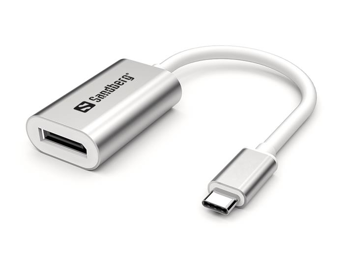 USB-C to DisplayPort Link, Silver